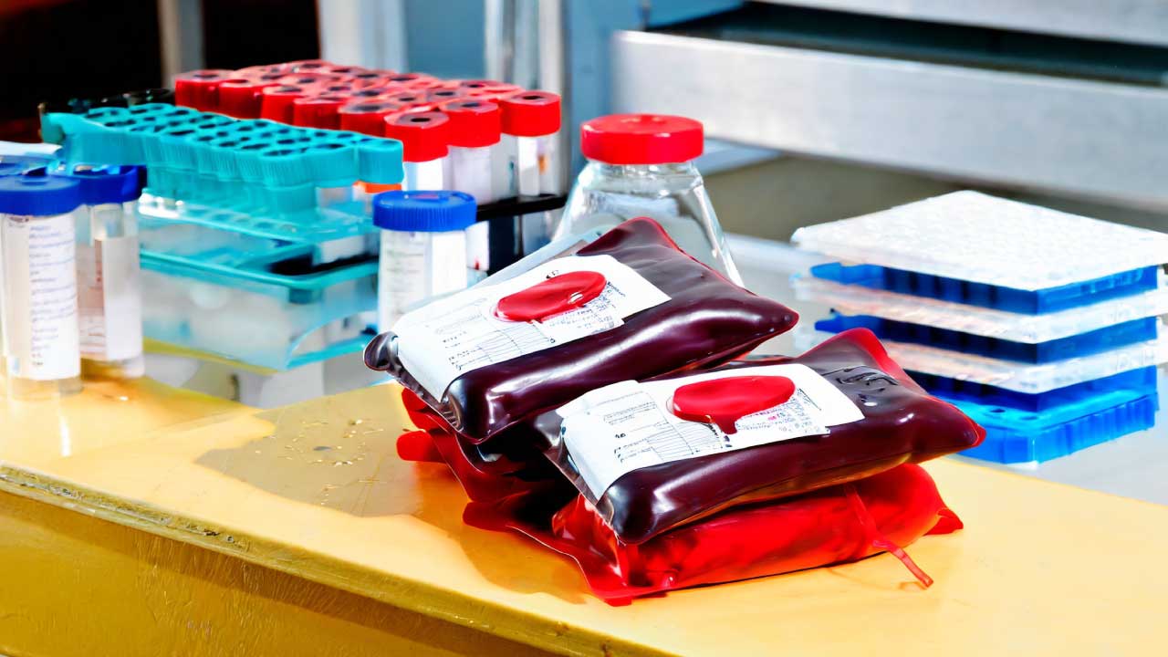 Image depicting a collection of blood donation packs, representing the significance of voluntary blood donation