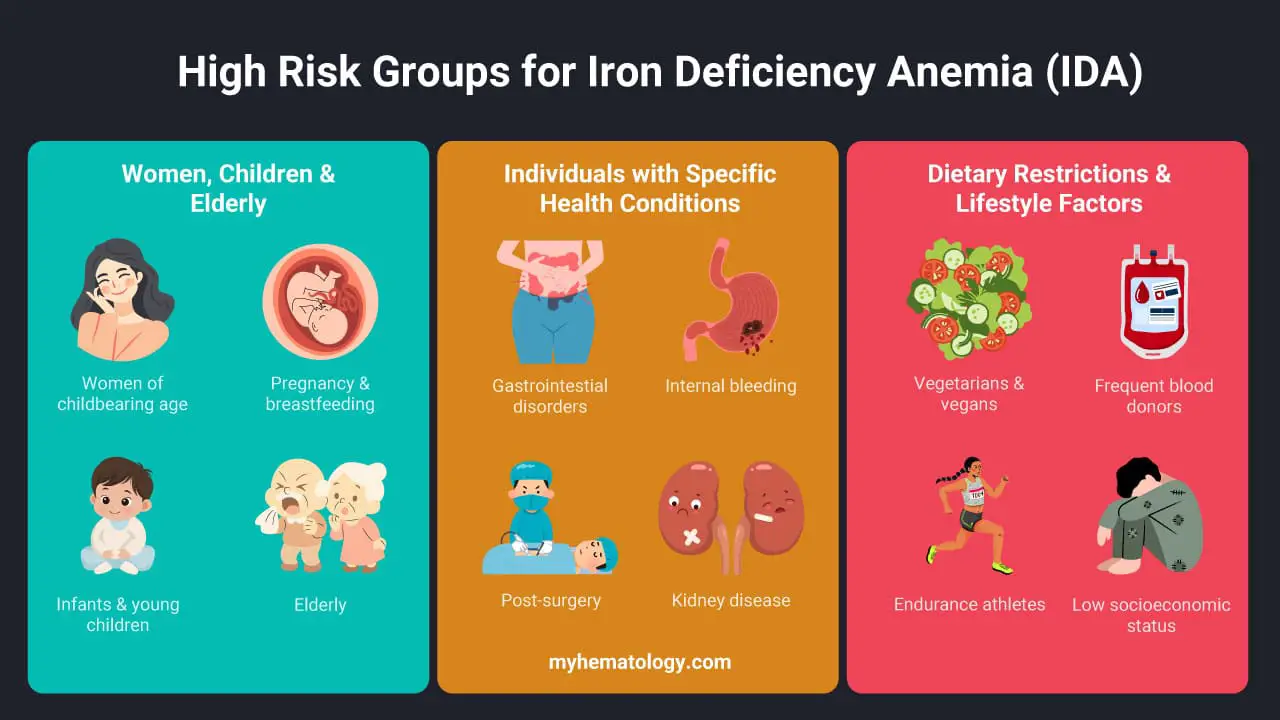 High-risk groups for iron deficiency anemia (IDA) include women of childbearing age, especially those with heavy menstrual bleeding, and pregnant or breastfeeding women due to increased iron demands. Infants and young children are also vulnerable because of their rapid growth. Individuals with chronic blood loss from gastrointestinal conditions like ulcers or colon polyps, or those with malabsorption disorders like celiac disease or inflammatory bowel disease, are also at high risk. Lastly, vegetarians and vegans may be at risk because non-heme iron from plant sources is less efficiently absorbed, and frequent blood donors can deplete their iron stores over time.