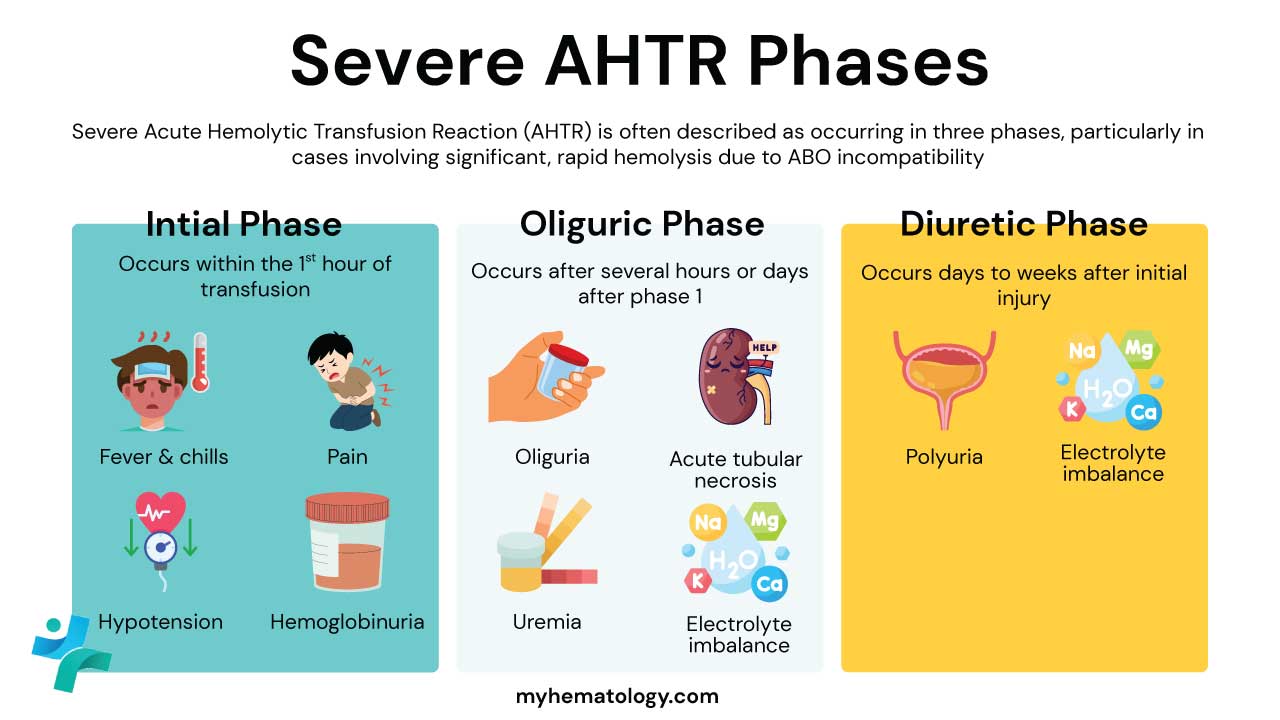 The clinical features of a severe Acute Hemolytic Transfusion Reaction (AHTR) can be delineated into three progressive phases: the Initial Phase (Hemolytic Shock Phase), which begins almost immediately with symptoms like fever, chills, severe lower back pain, hypotension, and the onset of hemoglobinuria as the recipient's antibodies rapidly destroy the transfused red blood cells; this phase reflects systemic inflammation and often leads to shock and Disseminated Intravascular Coagulation (DIC). This is followed by the Oliguric Phase (Renal Injury Phase), where the toxic effects of free hemoglobin and severe hypotension lead to acute tubular necrosis, resulting in significantly decreased or absent urine output (oliguria/anuria) and dangerous electrolyte imbalances. Finally, if the patient survives the initial injury, they enter the Diuretic/Recovery Phase, characterized by a massive increase in urine output as the kidney tubules begin to regenerate, requiring meticulous management of fluid and electrolyte imbalances (like hyperkalemia) to achieve recovery or prevent chronic renal failure.