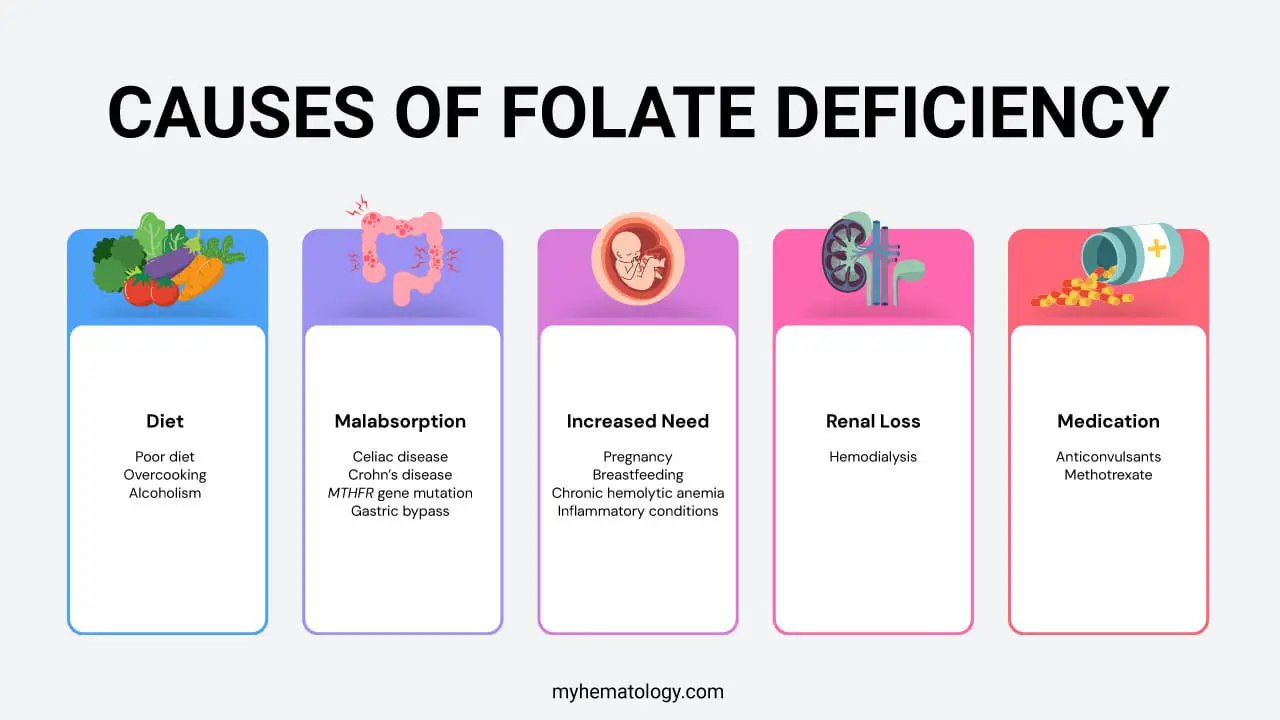 Causes of folate deficiency include poor diet, malabsorption, increased demand, renal loss and certain medications