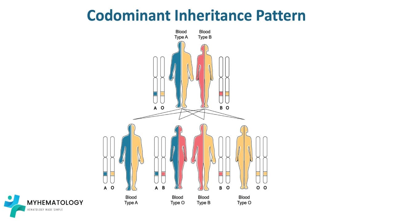 ABO inheritance is a co-dominant inheritance pattern. 
