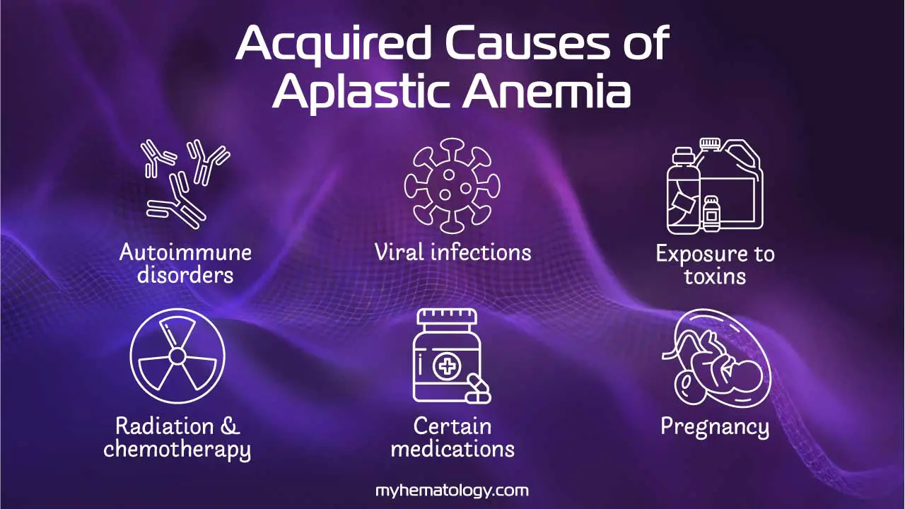 Acquired causes of aplastic anemia include autoimmune disorders, viral infections, toxins, radiation and chemotherapy, medication and pregnancy