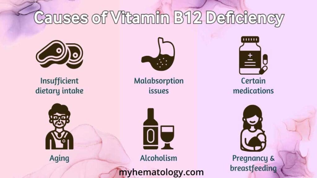 An infographic of the common causes of vitamin B12 deficiency including insufficient dietary intake, malabsorption issues, certain medications, alcoholism, pregnancy and breastfeeding.