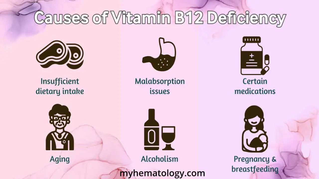 Causes of vitamin B12 deficiency includes insufficient dietary intake, malabsorption issues i.e. pernicious anemia, certain medication, aging, alcoholism and pregnancy or breastfeeding.
