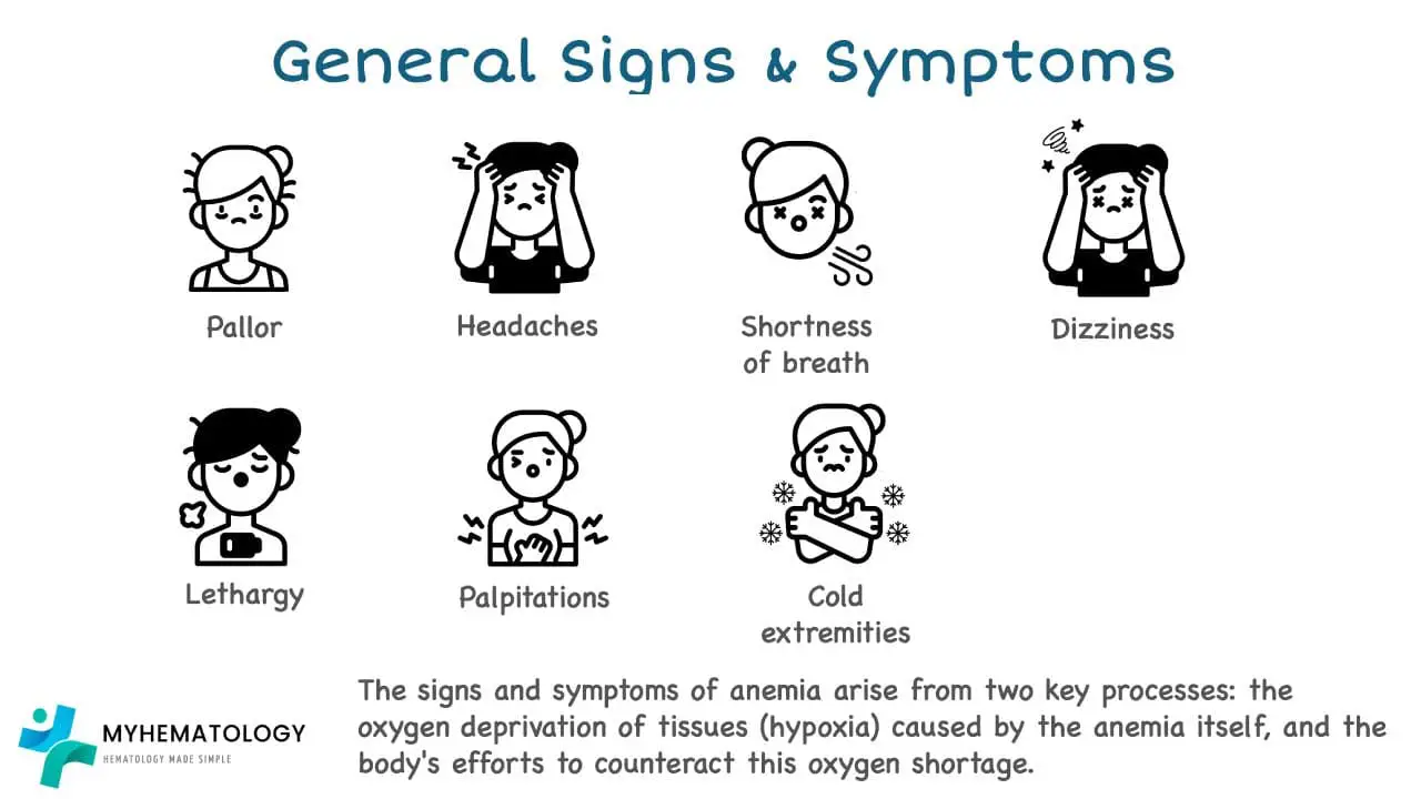 General signs and symptoms of anemia include pallor, headaches, shortness of breath, dizziness, lethargy and palpitations.