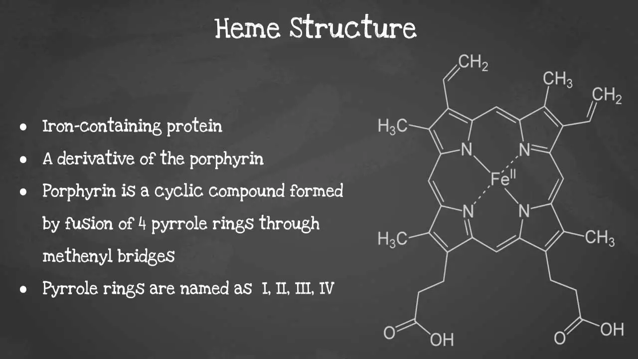 Unveiling the Intricate Architecture of Heme: A Visual Exploration of the Iron-Containing Cofactor