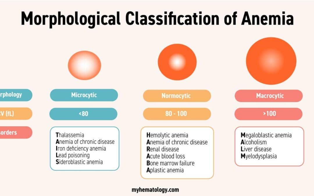 Anemia: Types, Symptoms & Treatment