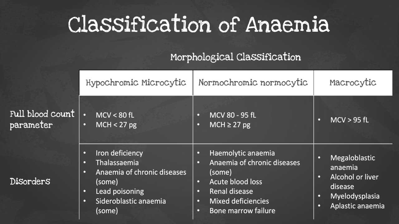 Morphological classification of anemia including the disorders for each classification. 