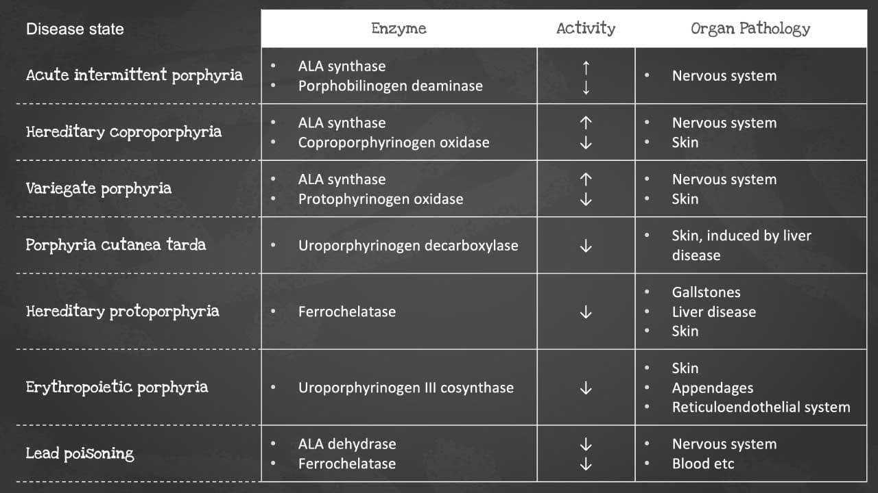 Navigating the Diverse Landscape of Porphyria: A Visual Guide to Heme Enzyme Deficiencies and Organ Manifestations