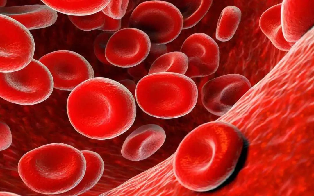 Red Blood Cells (RBCs): An Overview