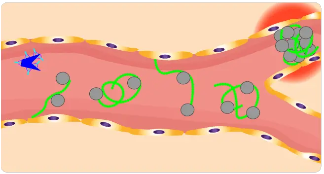 Image depicting a microscopic view of platelets adhering to large von Willebrand factor (VWF) multimers, causing occlusions, illustrating the underlying mechanism of thrombocytopenic purpura (TTP)