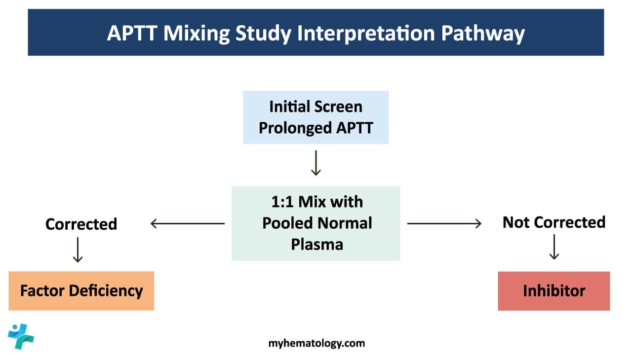 APTT mixing study interpretation pathway. 