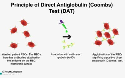 Direct Antiglobulin (Coombs) Test (DAT)