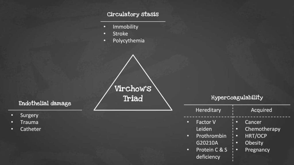 Venous thromboembolism (VTE) risk factors: surgery, prolonged sitting, pregnancy, obesity, age, medical conditions.