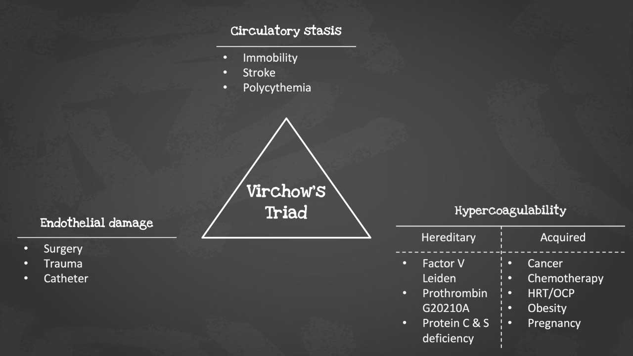 Venous thromboembolism (VTE) risk factors: surgery, prolonged sitting, pregnancy, obesity, age, medical conditions. 