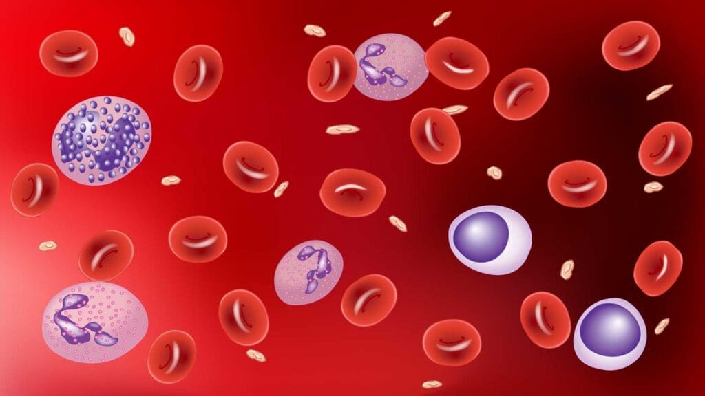 A microscopic marvel: Red blood cells carrying oxygen, white blood cells defending against threats, and platelets patching together breaks, all flowing through the lifeblood of our bodies. Hematology is the study of blood cells and its related disorders.