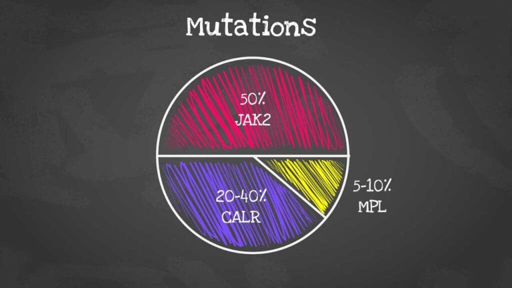 
Pie chart illustrating the distribution of JAK-STAT mutations in essential thrombocythemia (ET). JAK2 mutations are the most common at 50%, followed by CALR (20-40%) and MPL (5-10%).