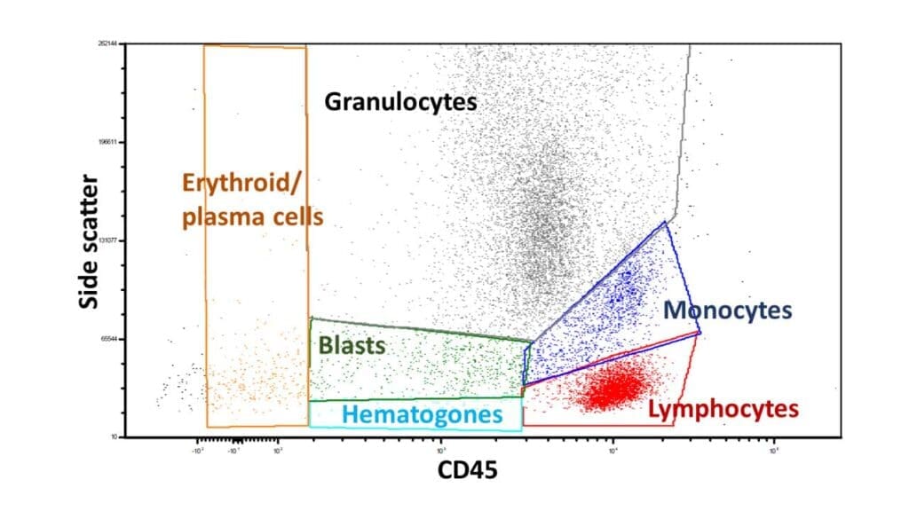 Flow cytometry gating into main categories of blood cells by side scatter and CD45, in a case with normal distributions.
