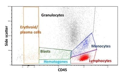 Flow Cytometry Immunophenotyping of Blood