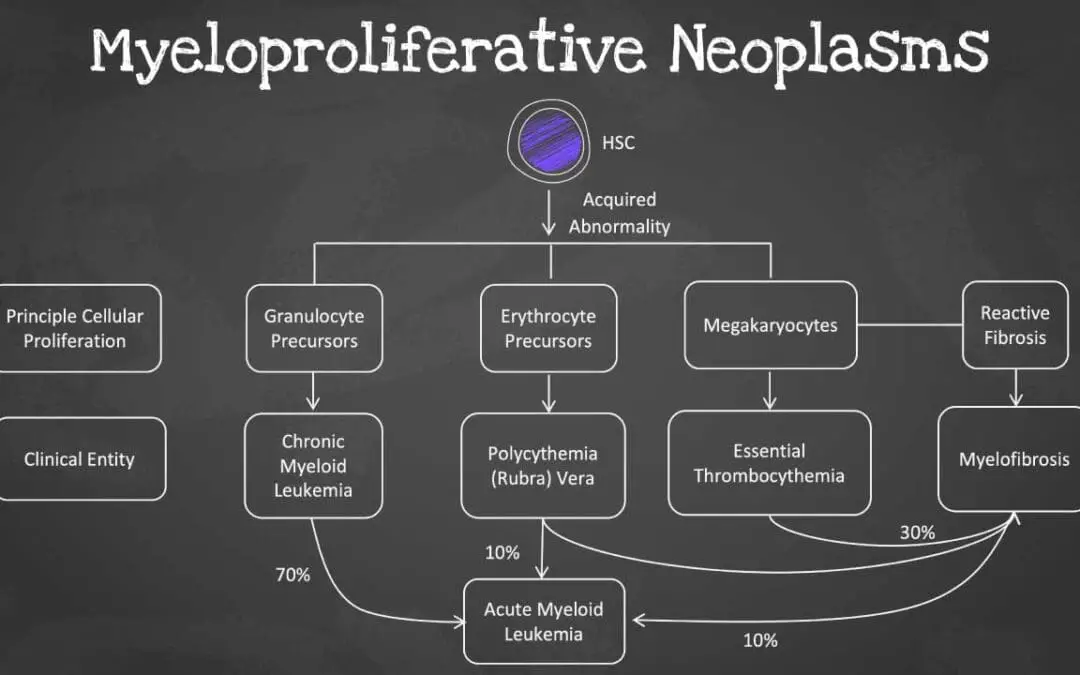 Myeloproliferative Neoplasms (MPN)