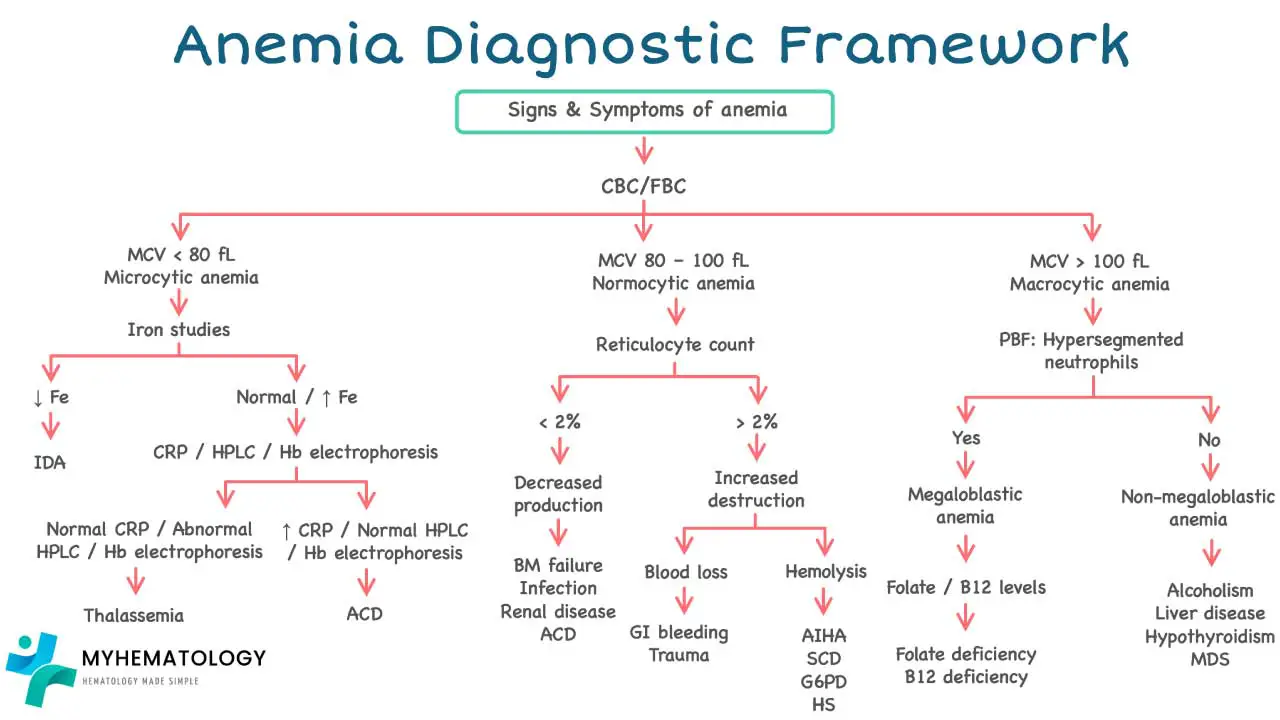 The anemia diagnostic framework is a systematic and comprehensive approach used by healthcare professionals to accurately identify the underlying cause of anemia, which is a condition characterized by a deficiency in red blood cells or hemoglobin. 1 This framework is essential because anemia can result from a wide range of factors, and a precise diagnosis is critical for effective treatment.