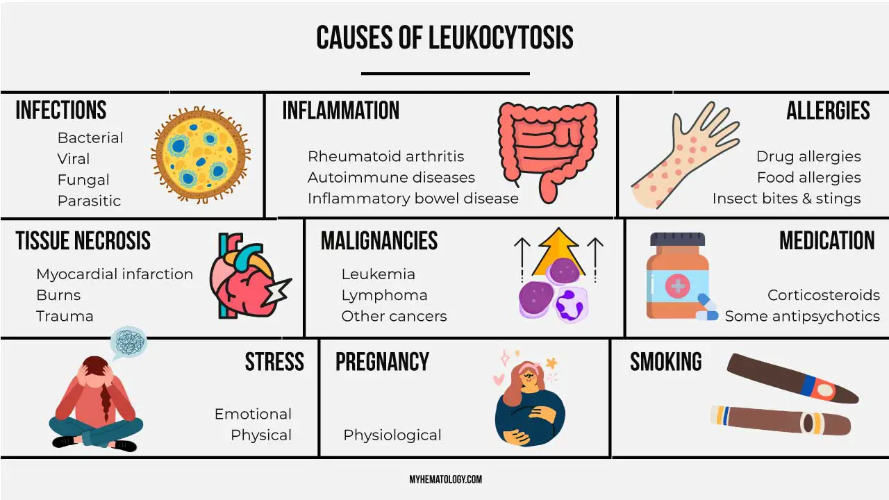 Leukocytosis: Types, Causes, Symptoms, Complications & Treatment