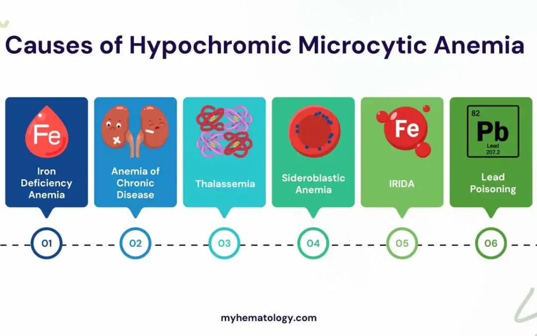 Causes of Hypochromic Microcytic Anemia