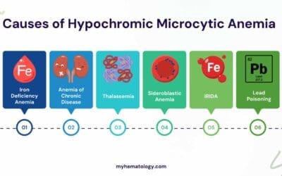 Causes of Hypochromic Microcytic Anemia