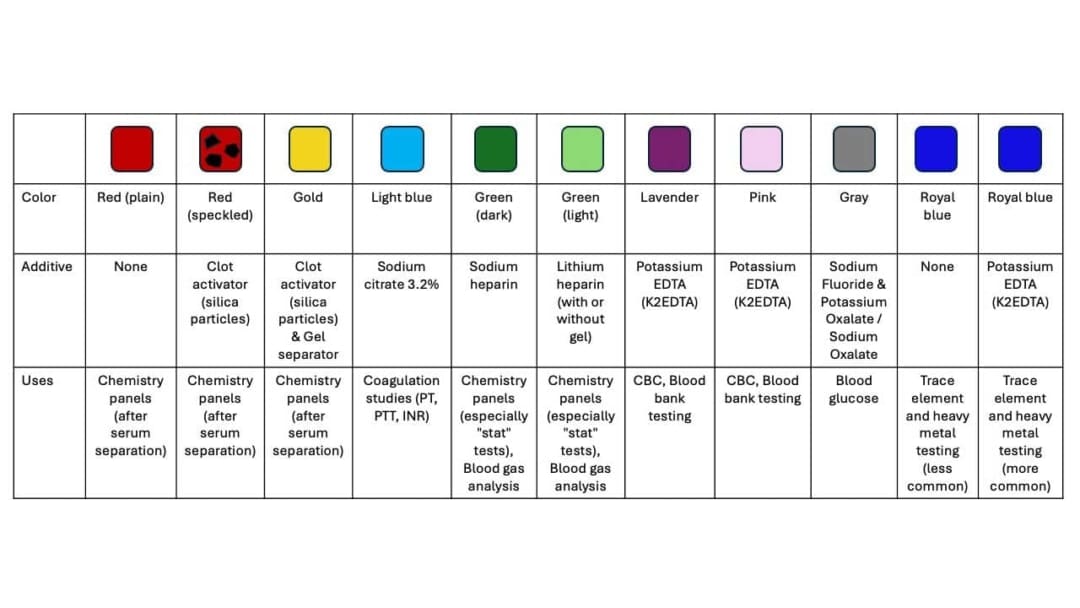 Blood Tube or Vacutainer: Colors, Types, Uses & Order of Draw
