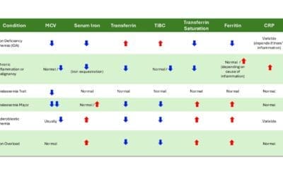 Iron Studies Interpretation: The Highs and Lows