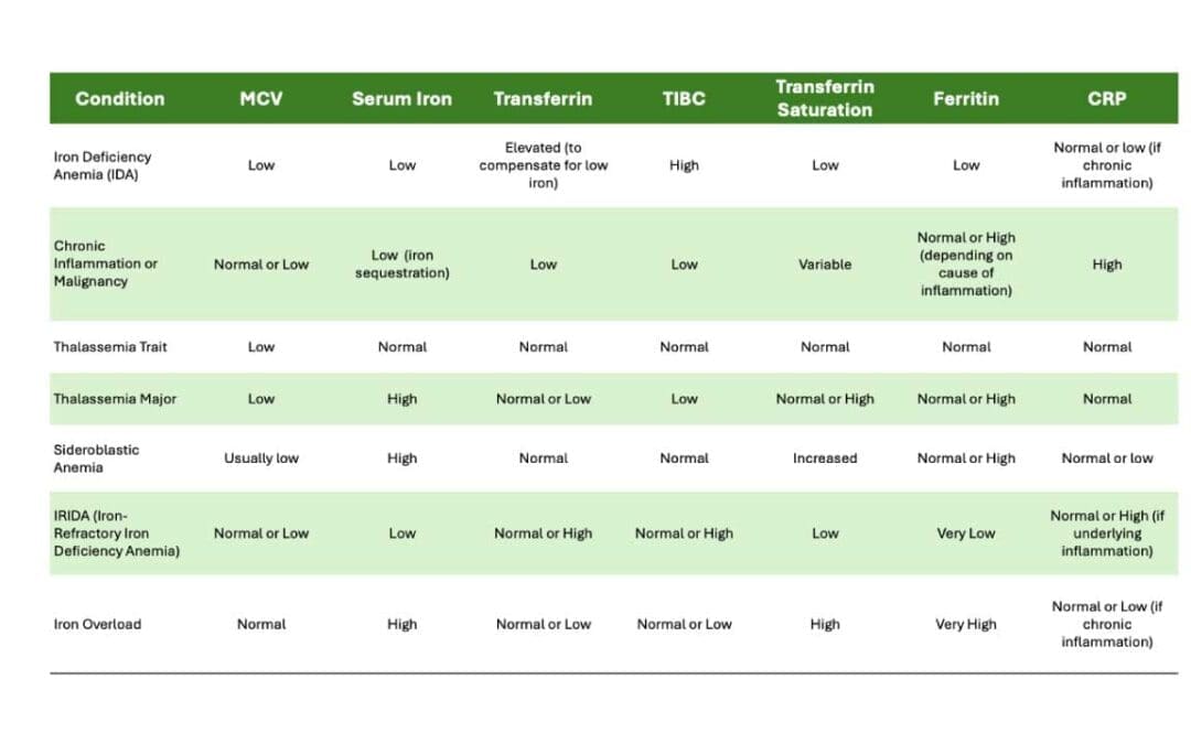 Interpretation of Iron Studies (Iron Profile)