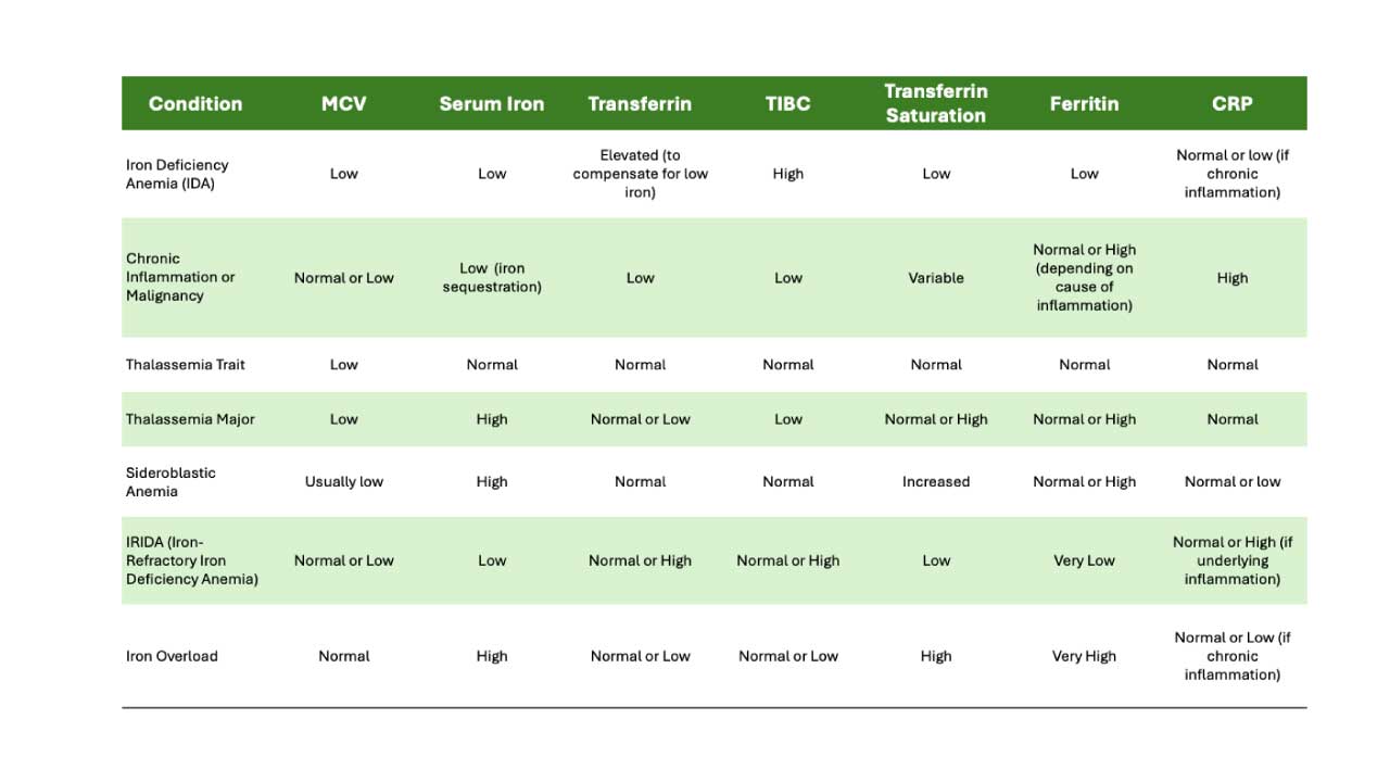 Interpretation of Iron Studies: Parameters & Characteristics