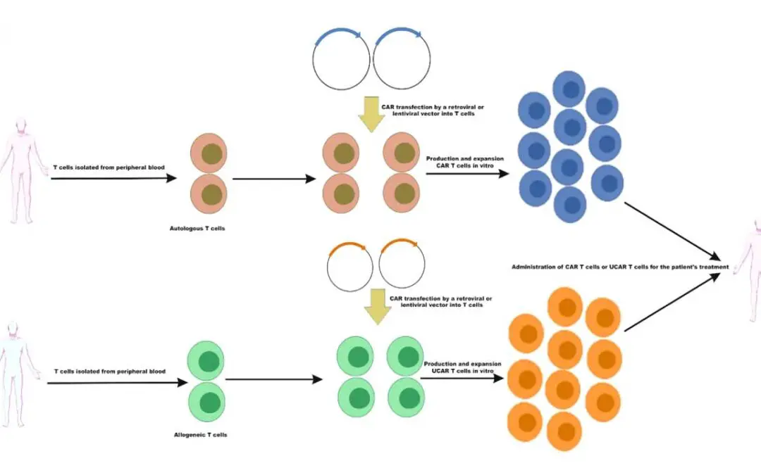 CAR T-Cell Treatment