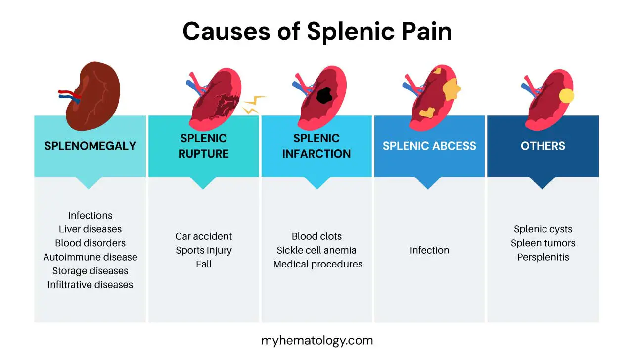 Causes of splenic pain include splenomegaly, splenic rupture, splenic infarction, splenic abcess and others