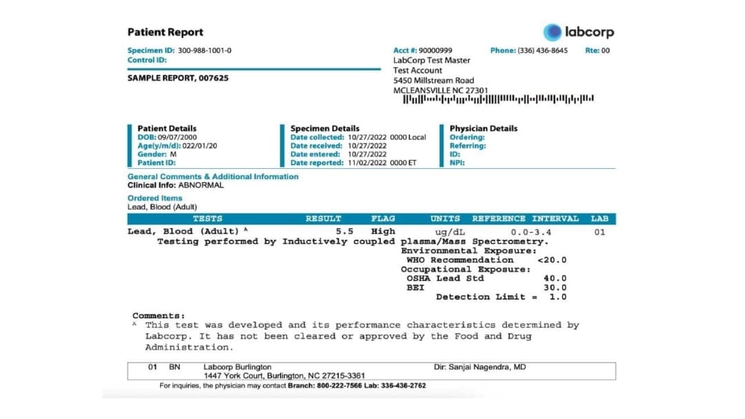 A Guide to Blood Lead Test: Is Lead Putting Your Family at Risk?