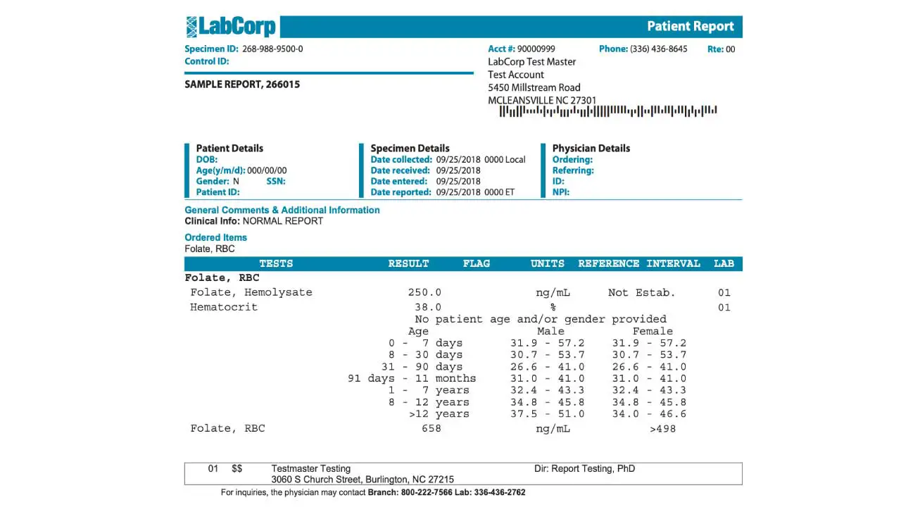 Essentials of Folate Blood Test: Safeguarding You & Your Baby