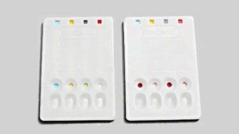 Blood Typing: Exploring Blood Type Tests and Beyond