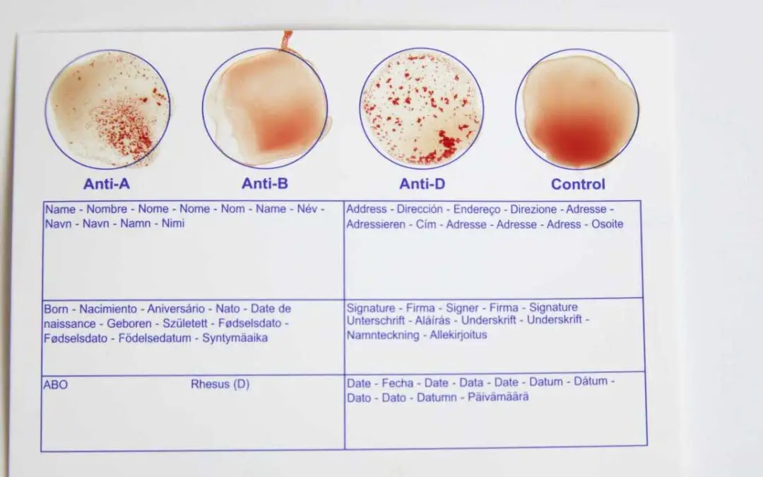 Blood Typing: Exploring Blood Type Tests and Beyond