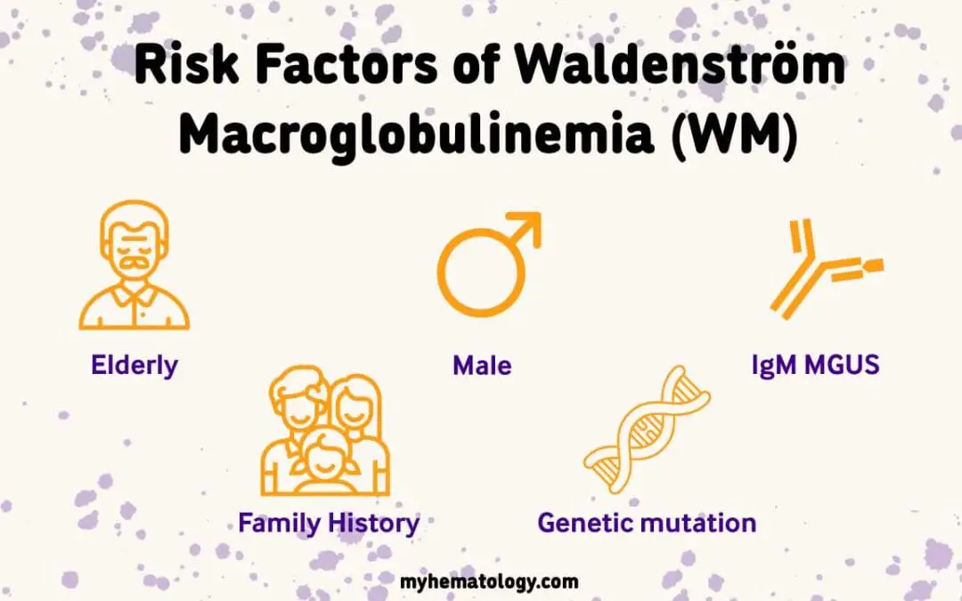 Waldenström Macroglobulinemia