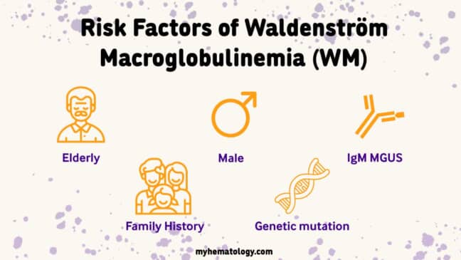 Waldenström Macroglobulinemia (WM): Symptoms & Treatment
