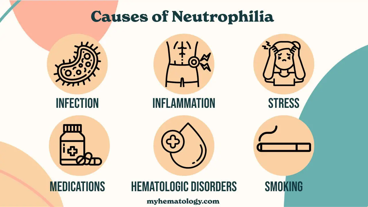 Common causes of neutrophilia including infections, inflammation, stress, medications, hematologic disorders and others.