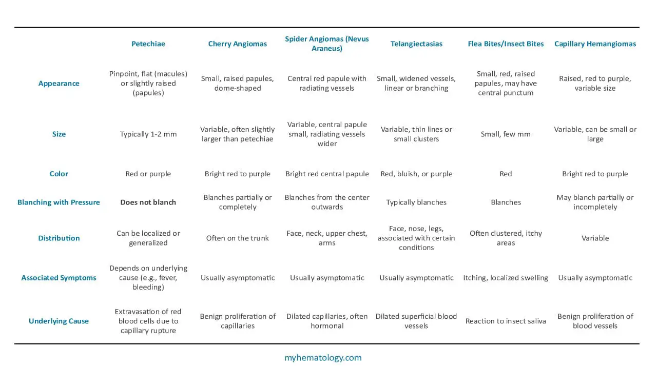 The differential diagnosis for petechiae and the key differences in the characteristics of petechiae compared to other similar diagnosis.