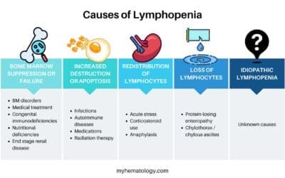 Lymphopenia or Low Lymphocytes