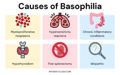 Basophilia (High Basophils)