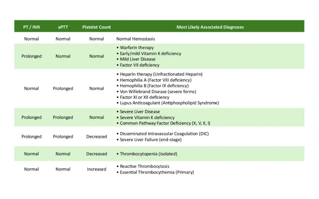 Coagulation Screening Panel Interpretation (Coagulation Panel)
