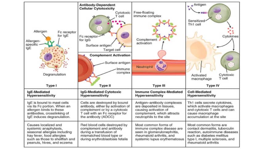 Understanding Hypersensitivity: Causes and Mechanisms