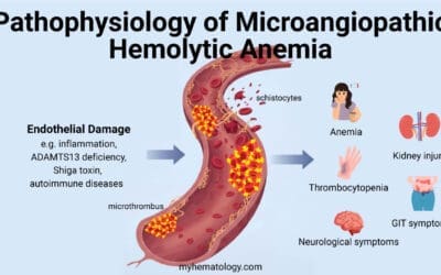Microangiopathic Hemolytic Anemia (MAHA)