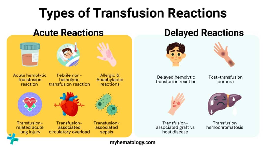 Transfusion Reactions: Pathophysiology, Symptoms & Management