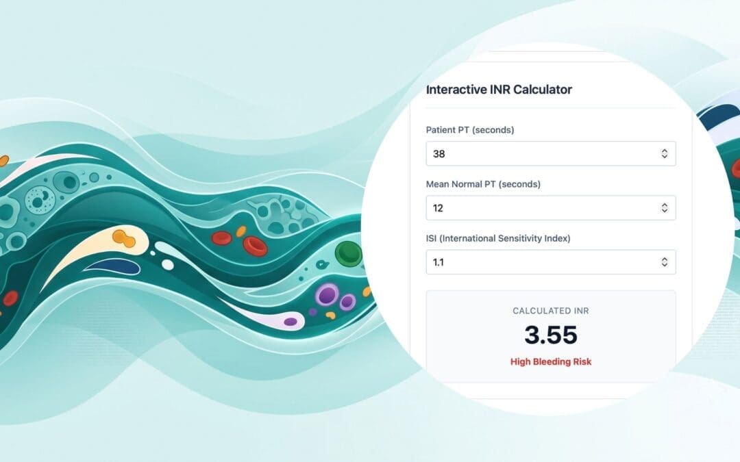 The INR Calculator
